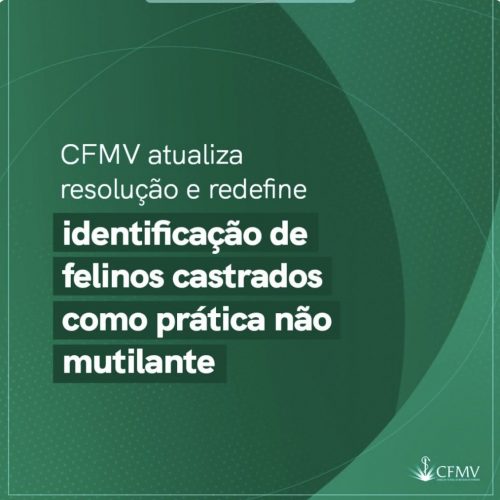 CFMV atualiza Resolução e redefine identificação de felinos castrados como prática não mutilante