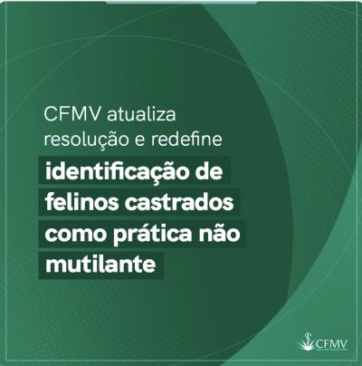 CFMV atualiza Resolução e redefine identificação de felinos castrados como prática não mutilante