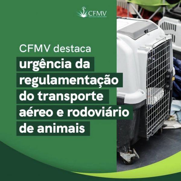 Conselho Federal de Medicina Veterinária destaca urgência da regulamentação do transporte aéreo e rodoviário de animais