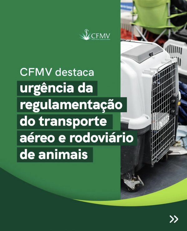 Conselho Federal de Medicina Veterinária destaca urgência da regulamentação do transporte aéreo e rodoviário de animais