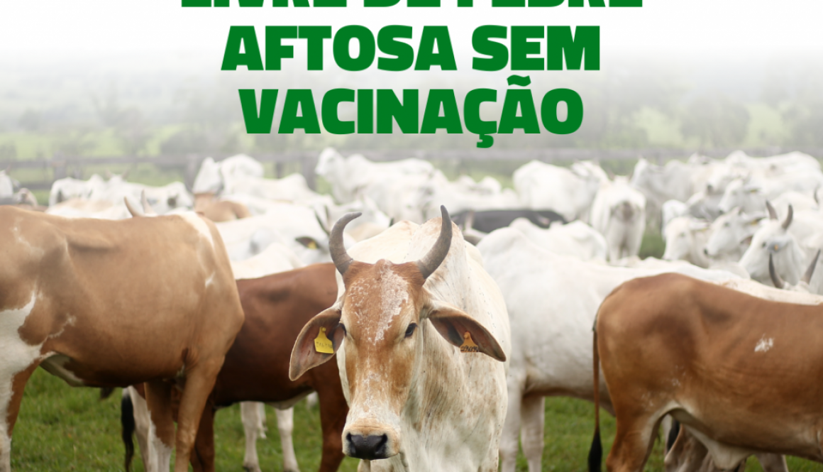 Roraima alcança status de Roraima alcança status de