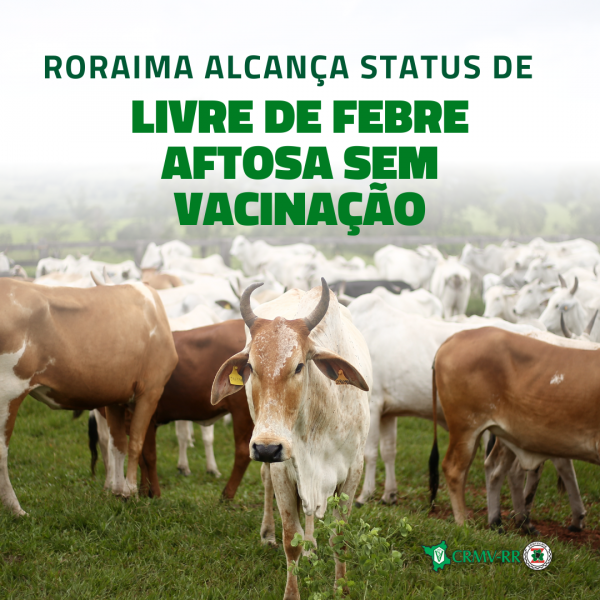 Roraima alcança status de