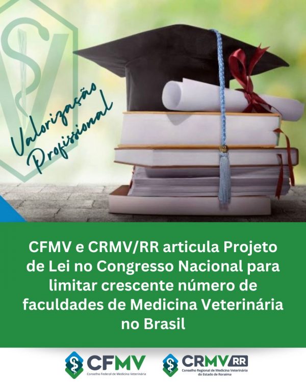 Excesso de faculdades de Veterinária: um risco para a profissão