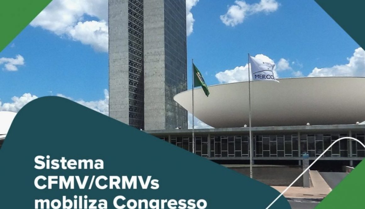 Sistema CFMV/CRMVs mobiliza Congresso Nacional em defesa da Medicina Veterinária