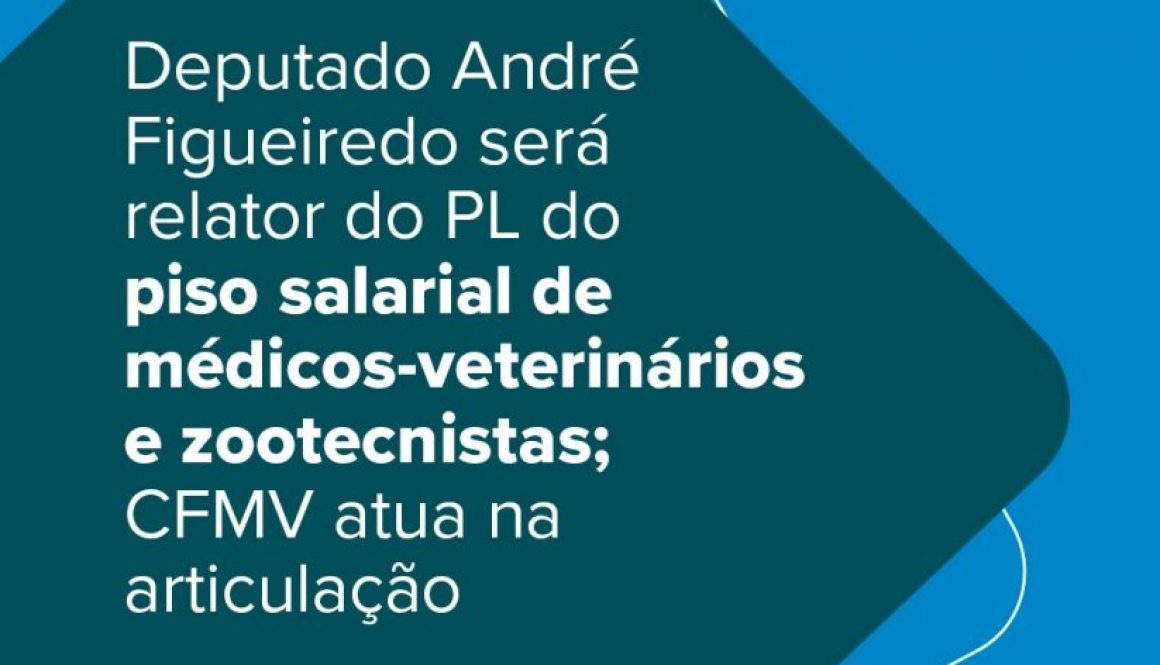 Deputado André Figueiredo será relator do PL do piso salarial de médicos-veterinários e zootecnistas; CFMV atua na articulação