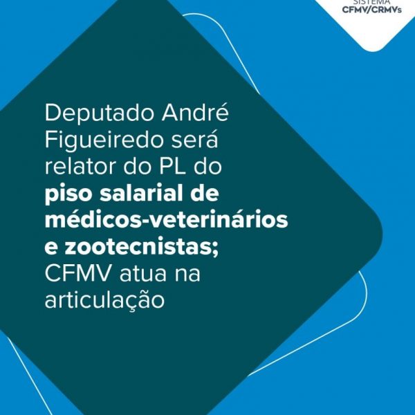 Deputado André Figueiredo será relator do PL do piso salarial de médicos-veterinários e zootecnistas; CFMV atua na articulação