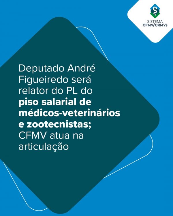 Deputado André Figueiredo será relator do PL do piso salarial de médicos-veterinários e zootecnistas; CFMV atua na articulação
