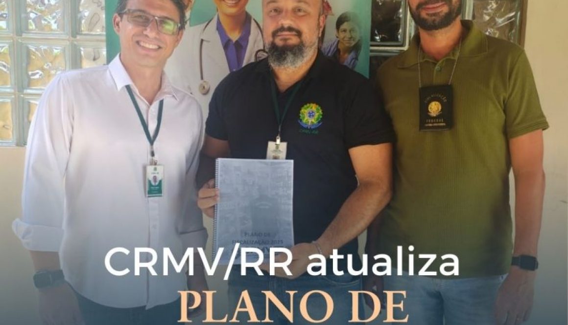 CRMVRR atualiza Plano de Fiscalização com apoio do CFMV