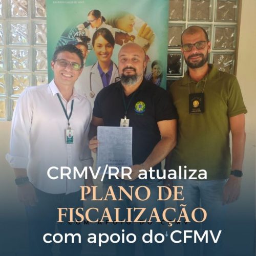 CRMVRR atualiza Plano de Fiscalização com apoio do CFMV