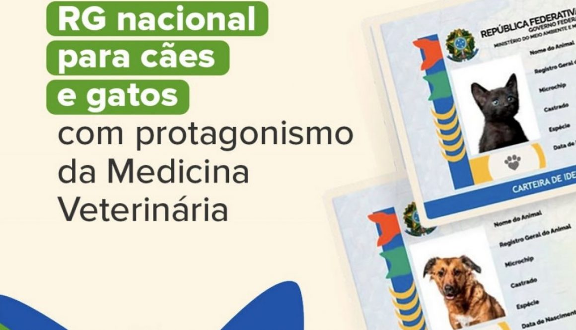 Brasil lança RG nacional para cães e gatos com protagonismo da Medicina Veterinária