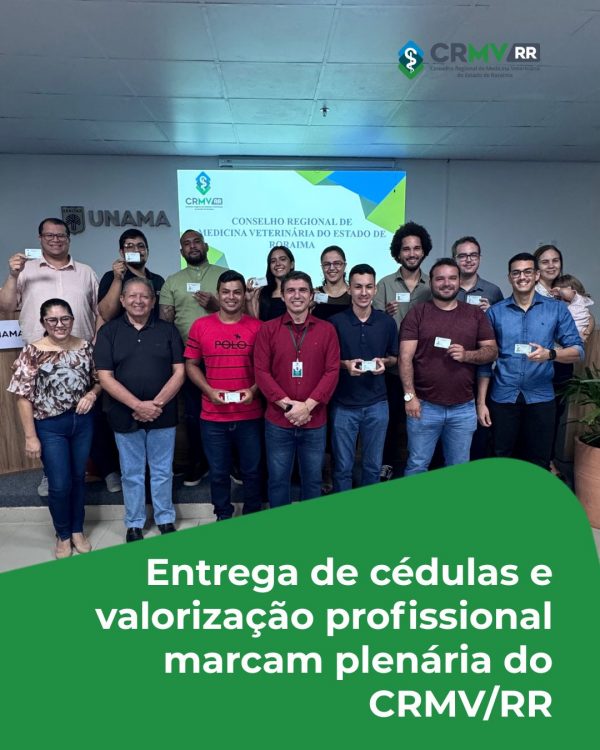 Entrega de Cédulas e valorização profissional marcam plenária do CRMV/RR