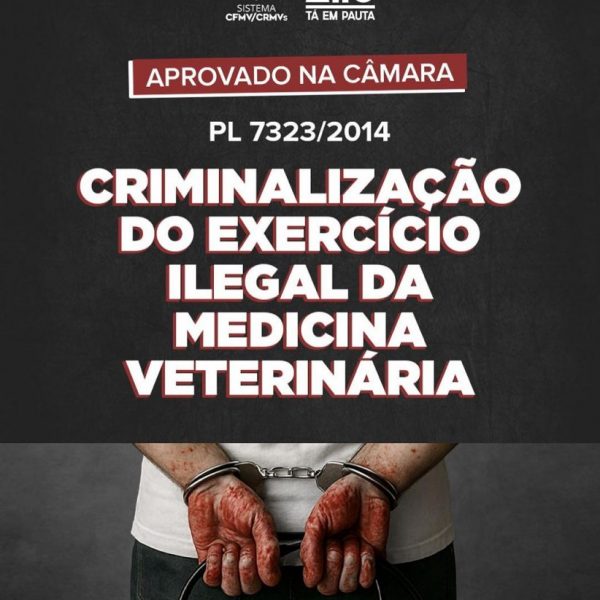 Câmara aprova projeto que criminaliza o exercício ilegal da Medicina Veterinária