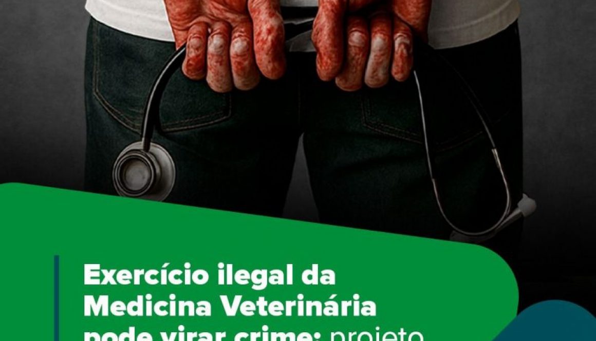 Exercício ilegal da Medicina Veterinária pode virar crime: projeto está pronto para votação na CCJ do Senado