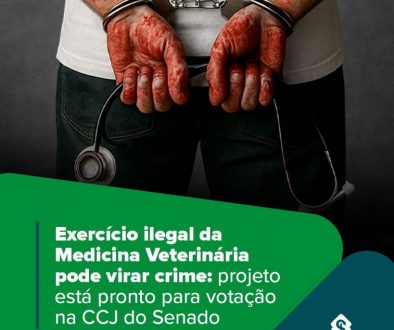Exercício ilegal da Medicina Veterinária pode virar crime: projeto está pronto para votação na CCJ do Senado