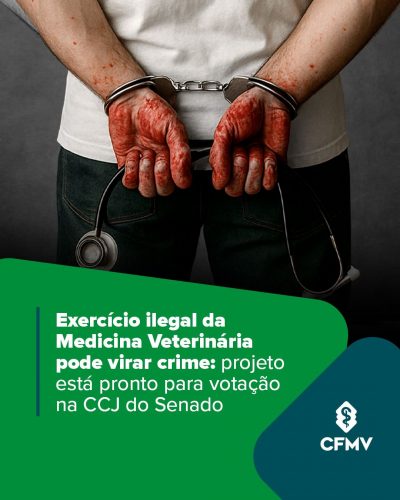 Exercício ilegal da Medicina Veterinária pode virar crime: projeto está pronto para votação na CCJ do Senado
