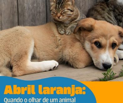Abril Laranja: juntos contra a crueldade animal