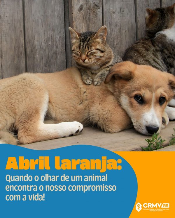 Abril Laranja: juntos contra a crueldade animal