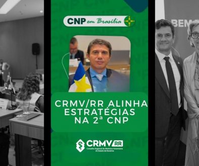 CRMV/RR alinhado estratégias na 2ªCNP em Brasília