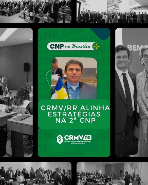 CRMV/RR alinhado estratégias na 2ªCNP em Brasília