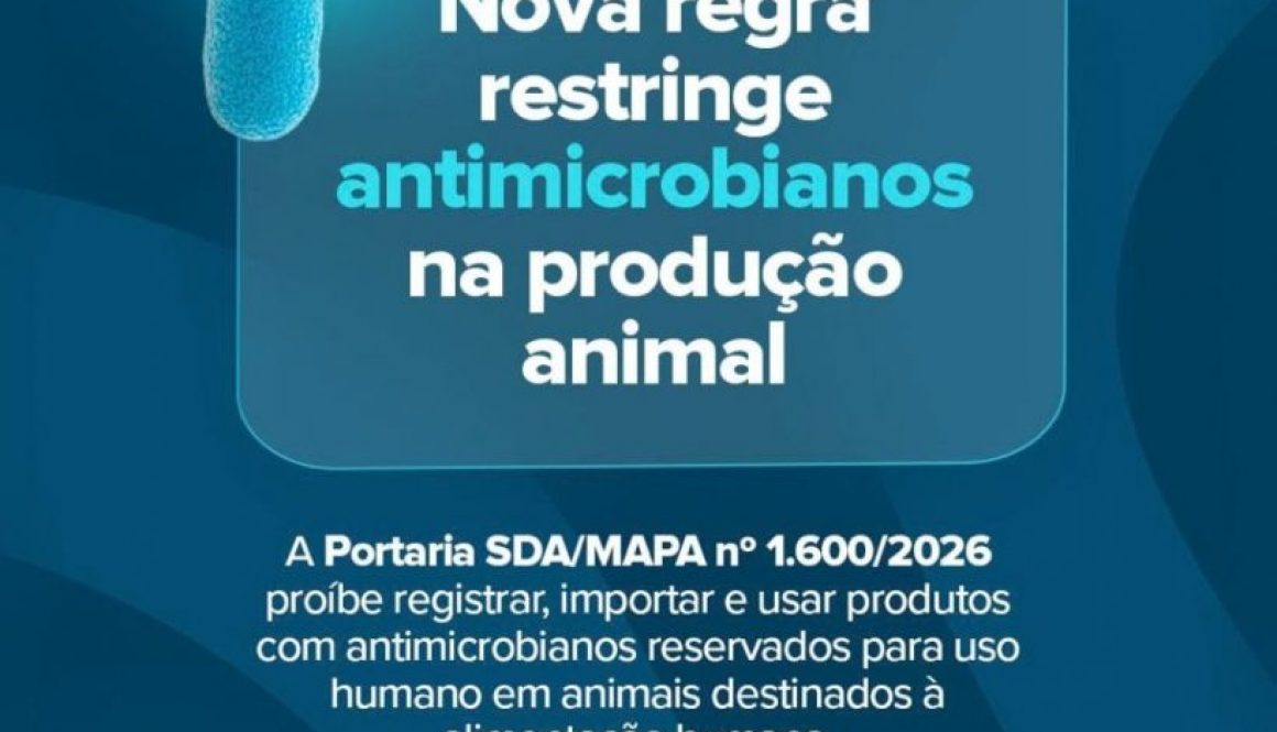 Nova regra restringe uso de antimicrobianos na produção animal; entenda o que muda