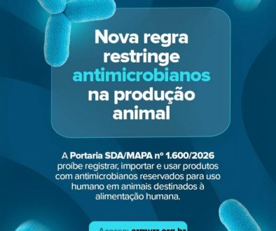 Nova regra restringe uso de antimicrobianos na produção animal; entenda o que muda