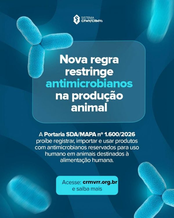 Nova regra restringe uso de antimicrobianos na produção animal; entenda o que muda